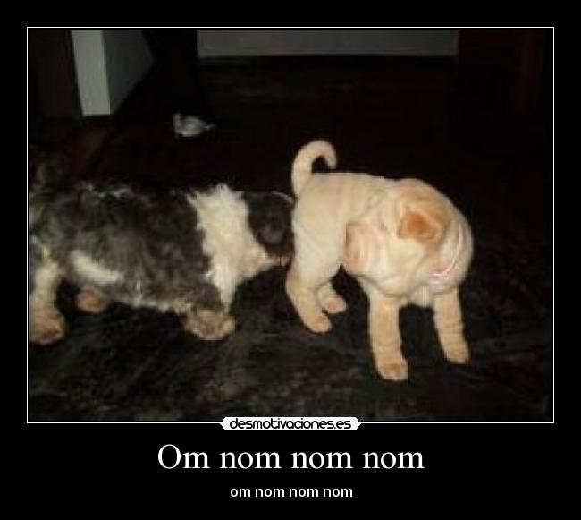 carteles perro oliendo trasero otro los perro hacen guau desmotivaciones