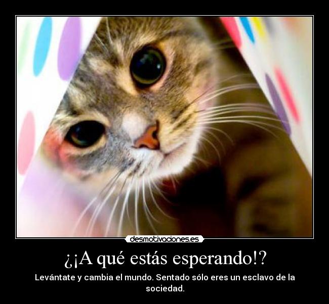 ¿¡A qué estás esperando!? -