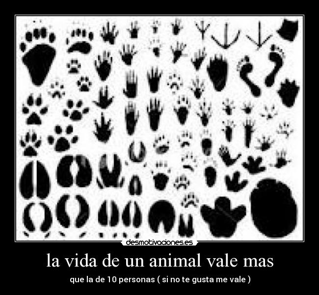 la vida de un animal vale mas - que la de 10 personas ( si no te gusta me vale )