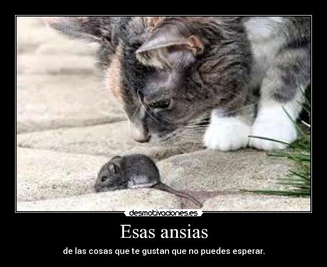Esas ansias - de las cosas que te gustan que no puedes esperar.