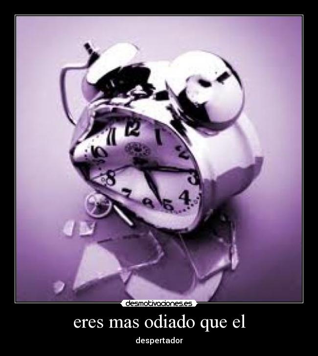 carteles giselita parakemas jejejejje desmotivaciones