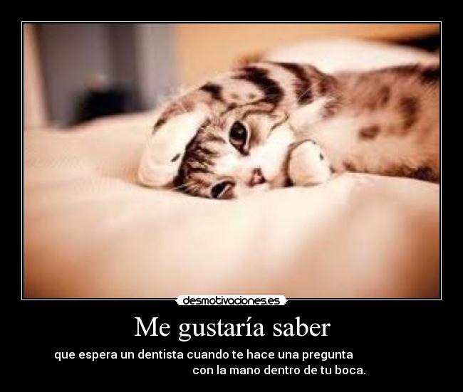 Me gustaría saber - que espera un dentista cuando te hace una pregunta                    
                                 con la mano dentro de tu boca.
