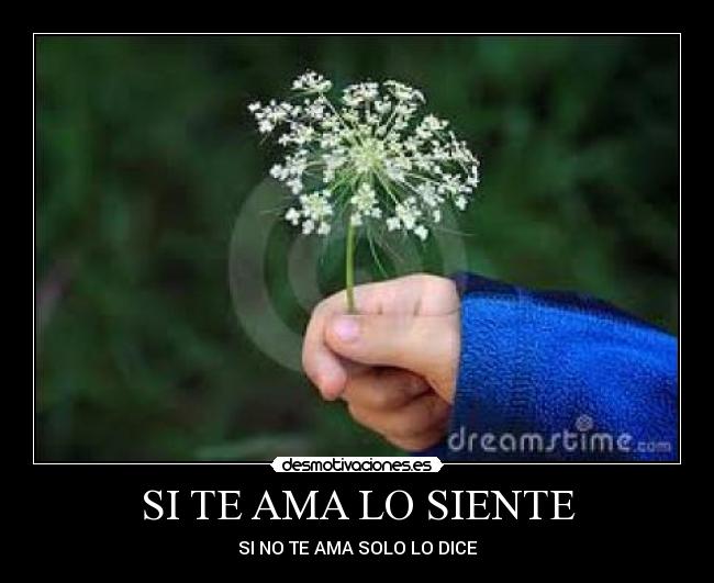 SI TE AMA LO SIENTE - SI NO TE AMA SOLO LO DICE