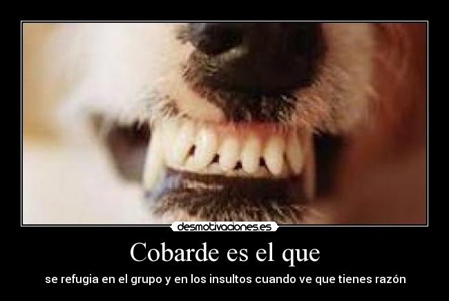 Cobarde es el que - se refugia en el grupo y en los insultos cuando ve que tienes razón