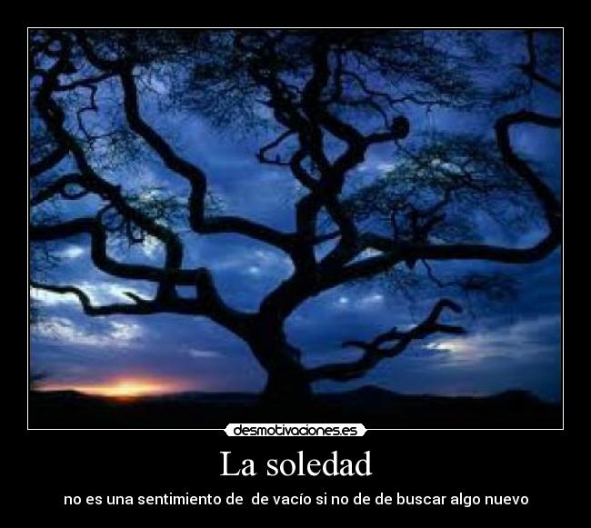 La soledad - no es una sentimiento de  de vacío si no de de buscar algo nuevo