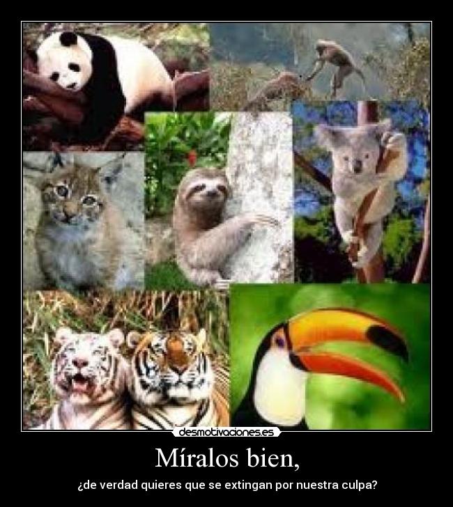 Míralos bien, - ¿de verdad quieres que se extingan por nuestra culpa?