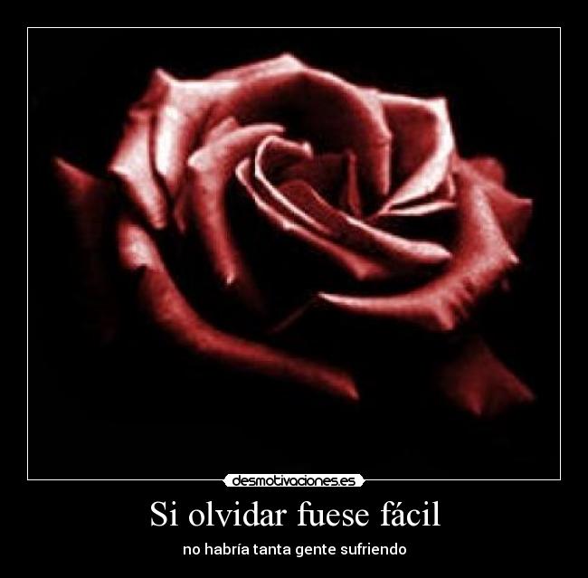 Si olvidar fuese fácil - no habría tanta gente sufriendo
