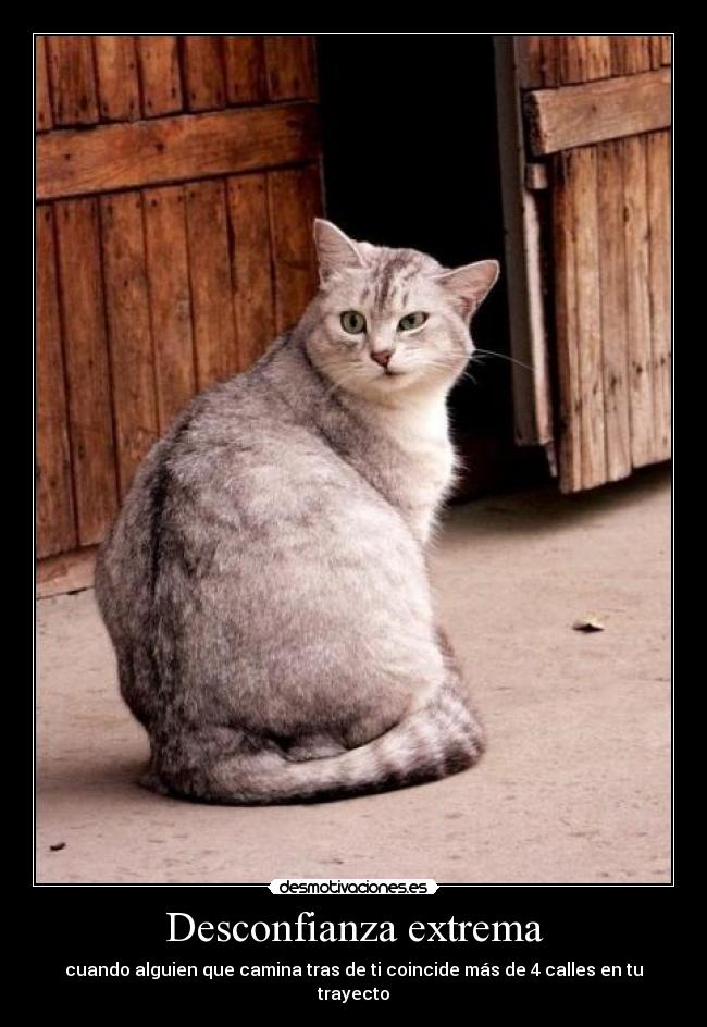 Desconfianza extrema - 