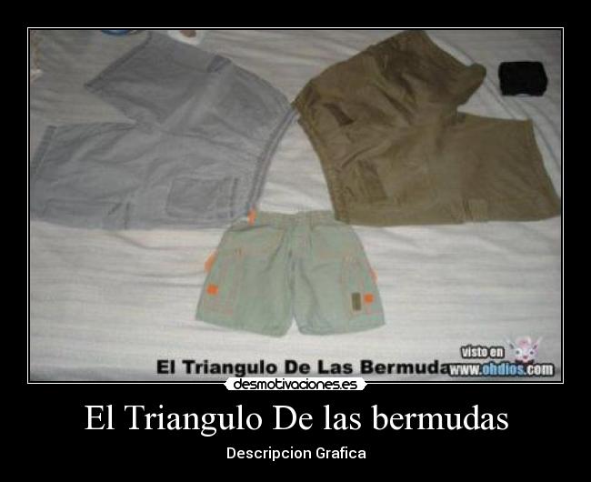 carteles wtf desmotivaciones