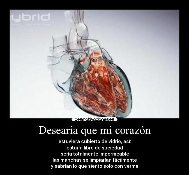 Desearía que mi corazón - estuviera cubierto de vidrio, así:
estaría libre de suciedad
sería totalmente impermeable
las manchas se limpiarían fácilmente
y sabrían lo que siento solo con verme