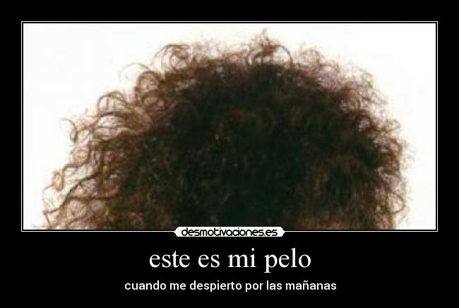 este es mi pelo -