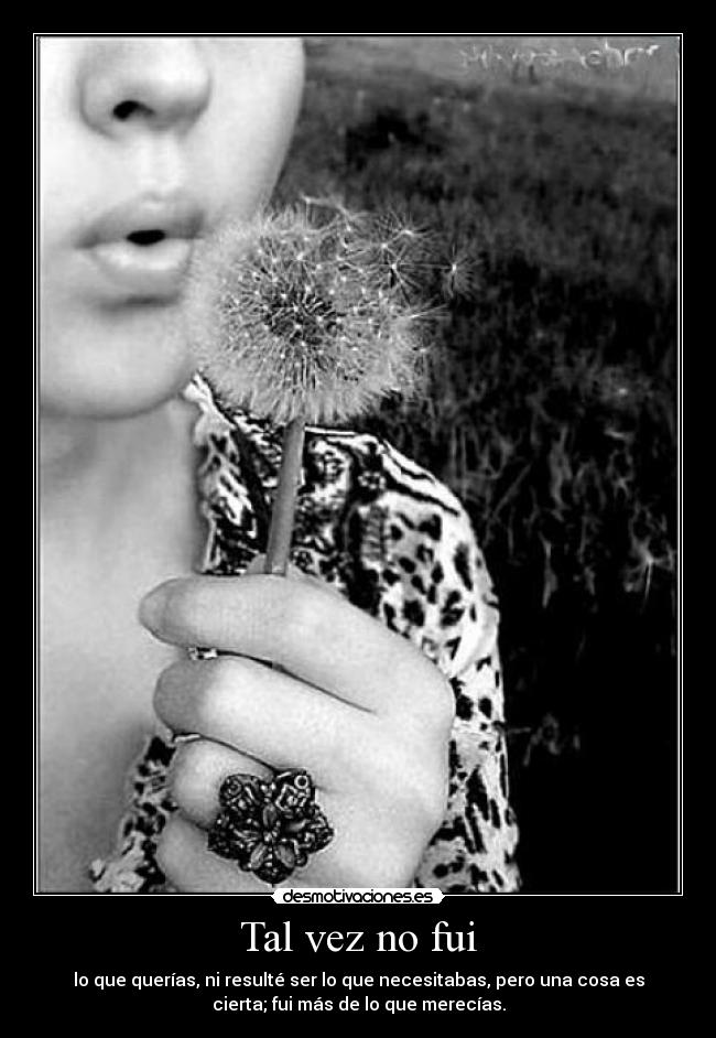 Tal vez no fui -