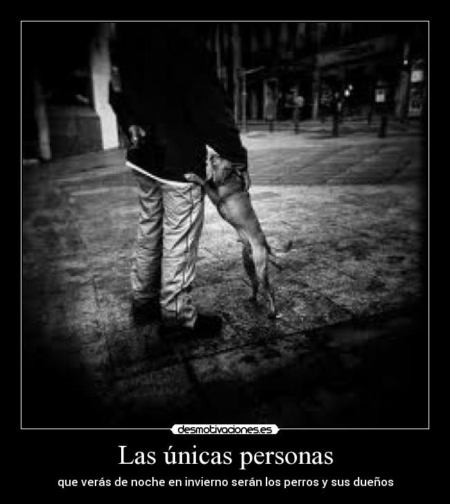 Las únicas personas - que verás de noche en invierno serán los perros y sus dueños