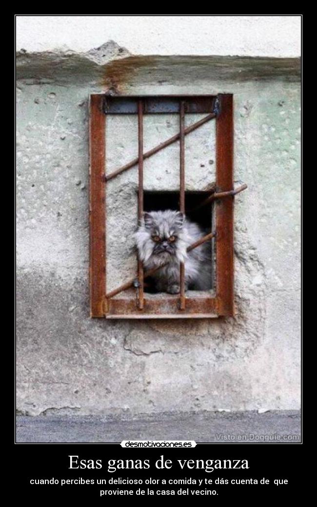 Esas ganas de venganza - cuando percibes un delicioso olor a comida y te dás cuenta de  que
proviene de la casa del vecino.
