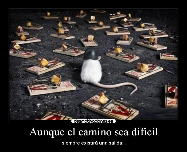 Aunque el camino sea difícil - siempre existirá una salida...