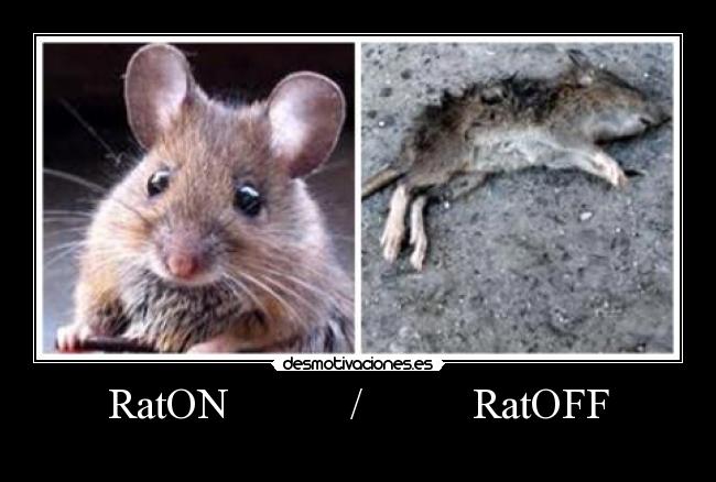 RatON           /          RatOFF - 