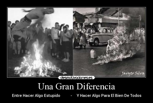 Una Gran Diferencia - Entre Hacer Algo Estupido - Y Hacer Algo Para El Bien De Todos