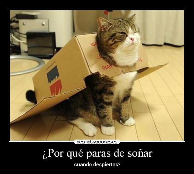 ¿Por qué paras de soñar - cuando despiertas?