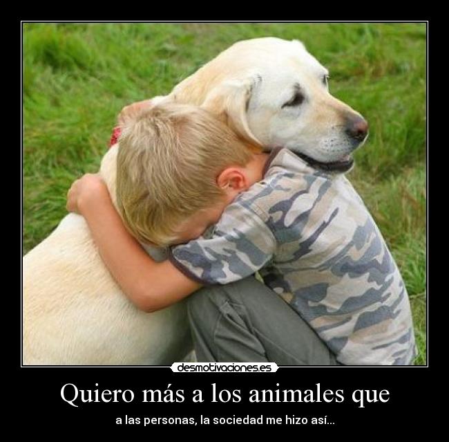 carteles animales quiero los animales desmotivaciones