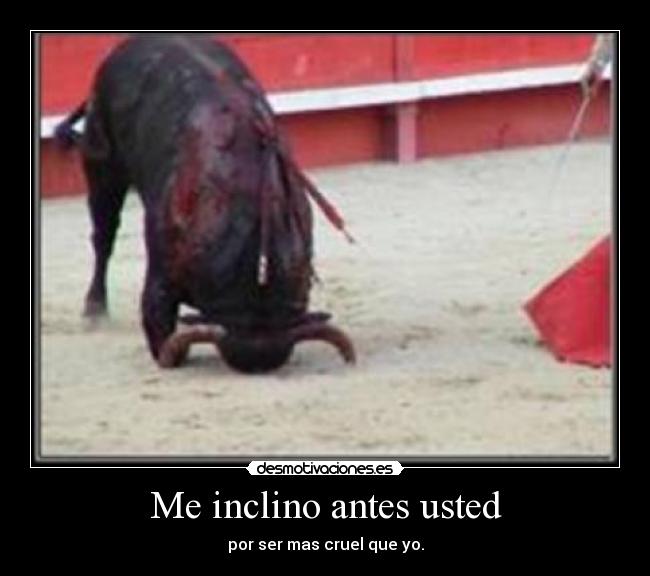 Me inclino antes usted -