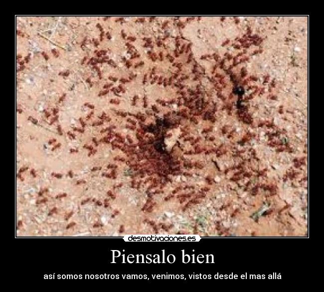 Piensalo bien - así somos nosotros vamos, venimos, vistos desde el mas allá