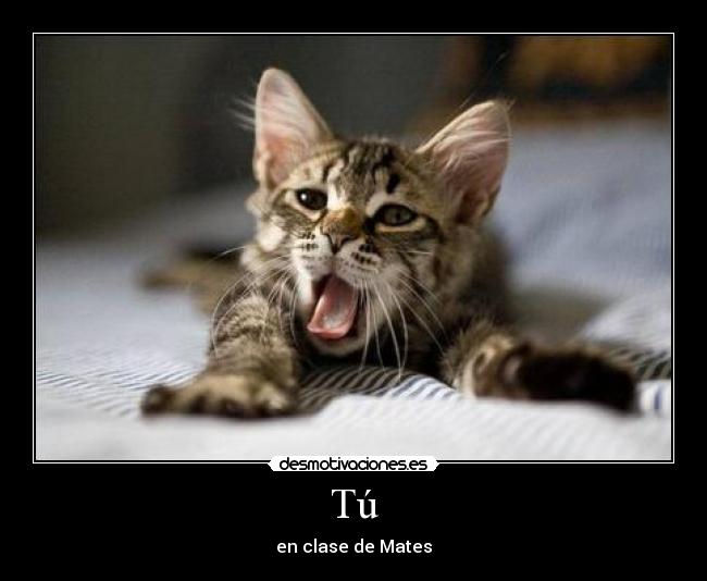 Tú - en clase de Mates