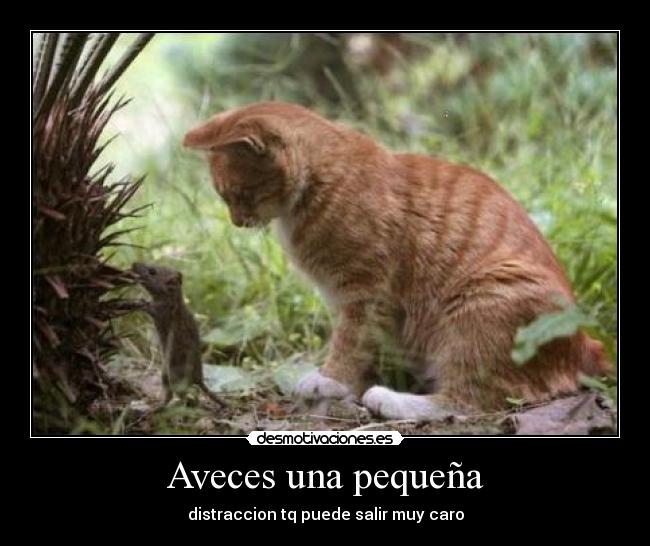 Aveces una pequeña -