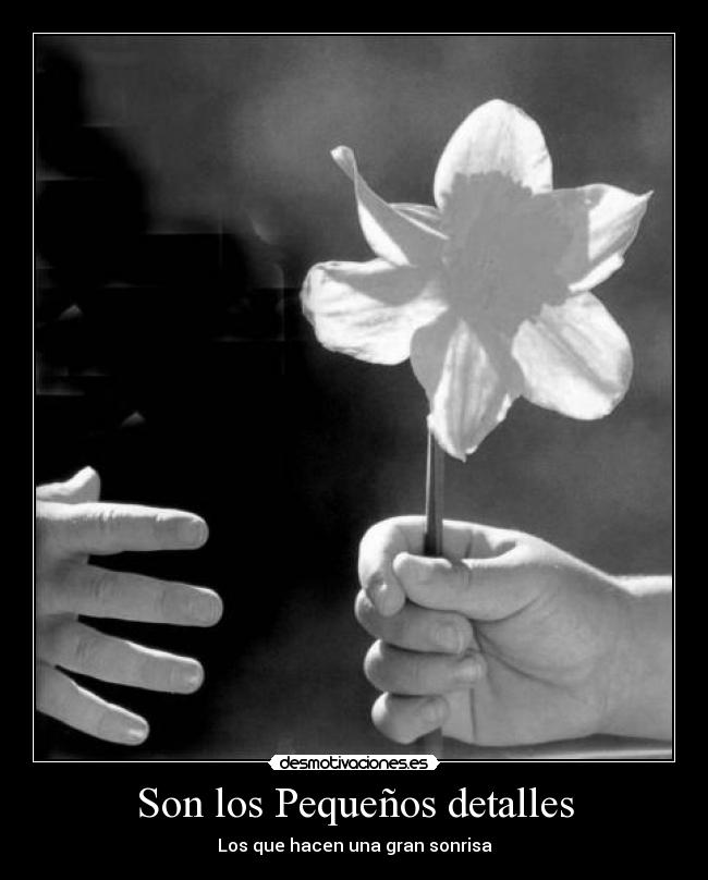 Son los Pequeños detalles -