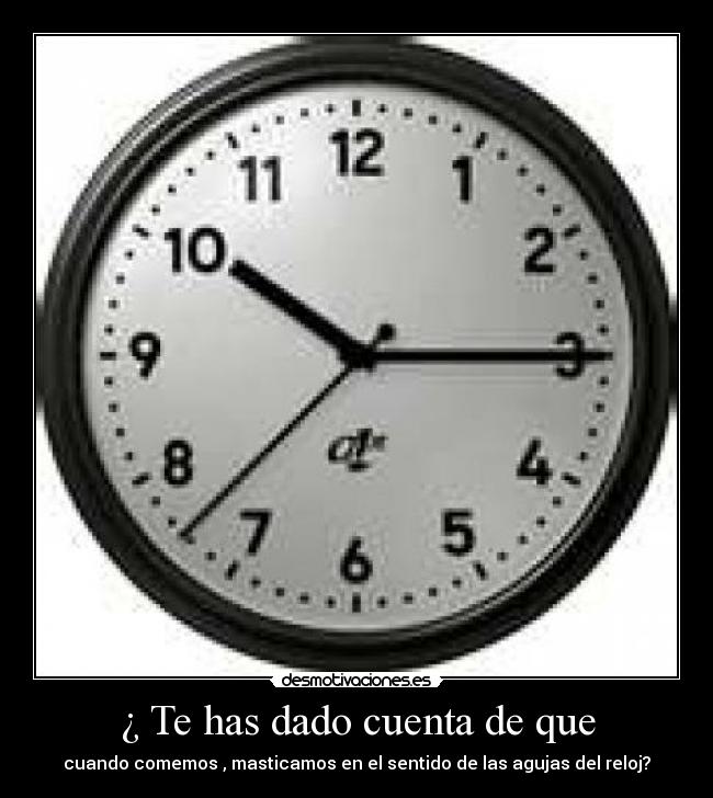 ¿ Te has dado cuenta de que - cuando comemos , masticamos en el sentido de las agujas del reloj?