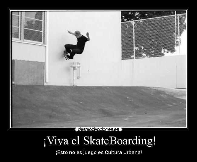 ¡Viva el SkateBoarding! -