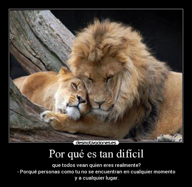 Por qué es tan difícil - que todos vean quien eres realmente?
- Porqué personas como tu no se encuentran en cualquier momento
y a cualquier lugar.