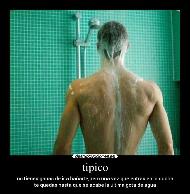 tipico -
