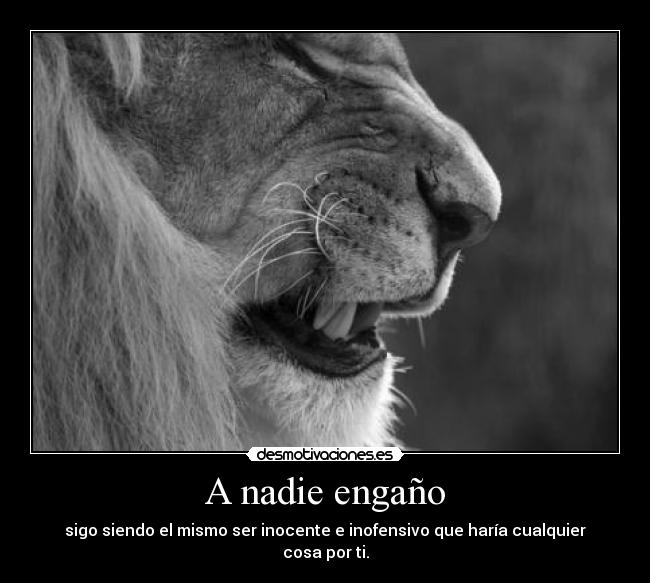 A nadie engaño - sigo siendo el mismo ser inocente e inofensivo que haría cualquier cosa por ti.