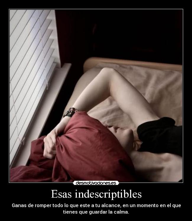 Esas indescriptibles - 