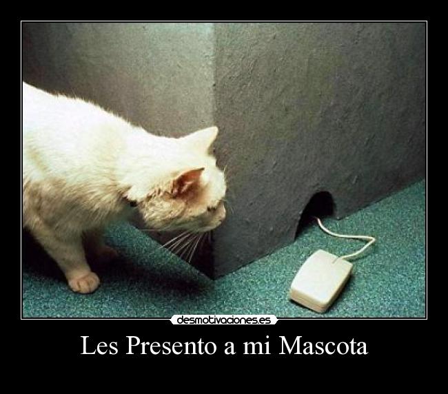 Les Presento a mi Mascota - 