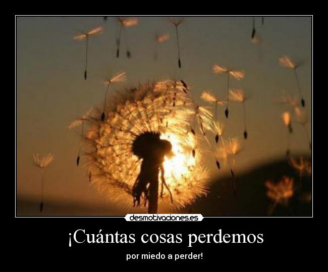 ¡Cuántas cosas perdemos - por miedo a perder!