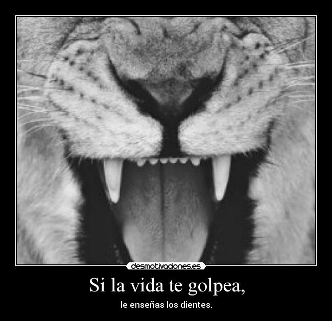 Sintético 105+ Foto Frases Cortas Cuando La Vida Te Golpea Fuerte El último Sintético 105+ Foto Frases Cortas Cuando La Vida Te Golpea Fuerte El último
