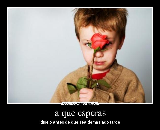 a que esperas - díselo antes de que sea demasiado tarde