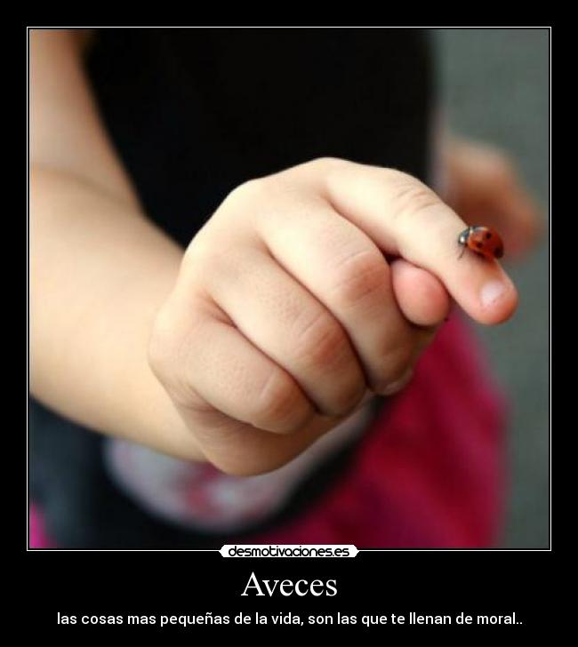 carteles hfhjjh desmotivaciones