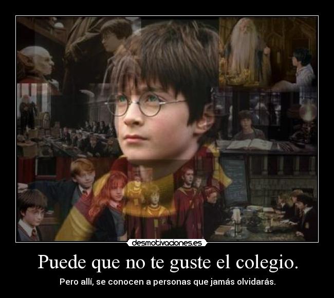 Puede que no te guste el colegio. - 
