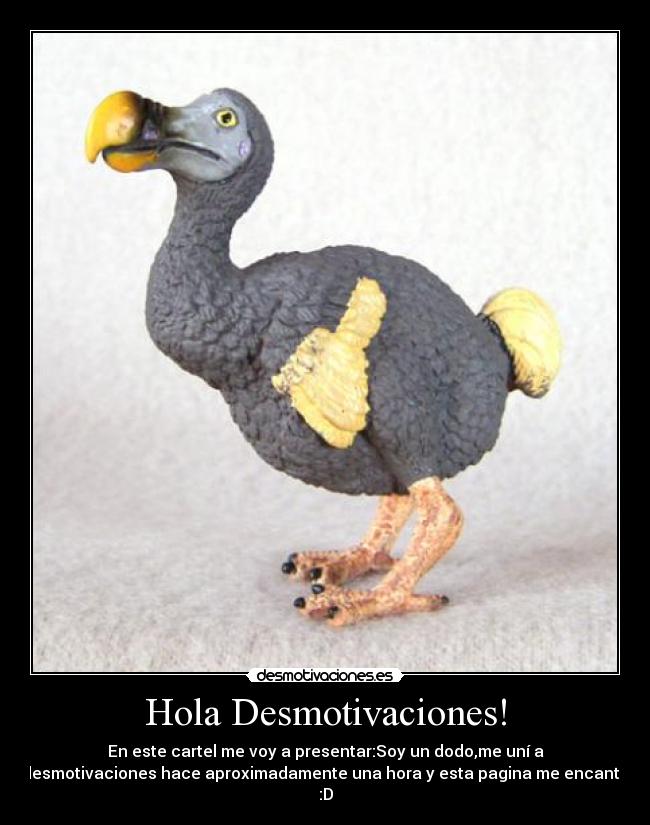 Hola Desmotivaciones! - En este cartel me voy a presentar:Soy un dodo,me uní a
desmotivaciones hace aproximadamente una hora y esta pagina me encanta
:D