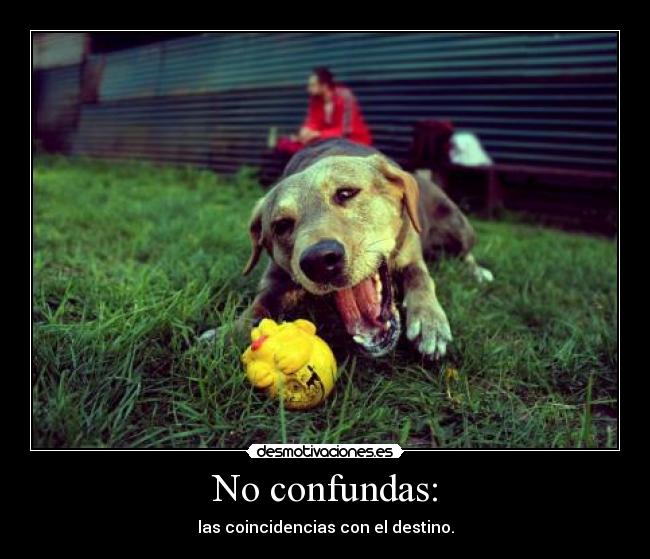 No confundas: -