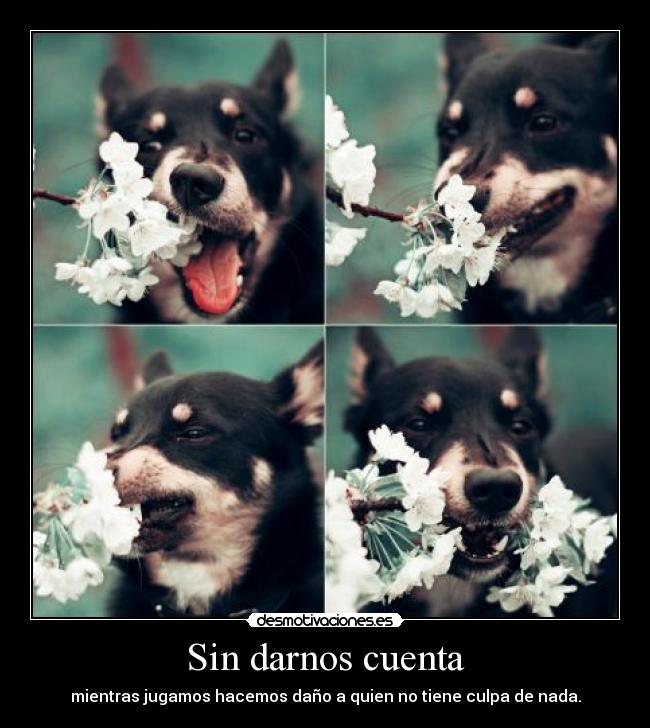 Sin darnos cuenta - mientras jugamos hacemos daño a quien no tiene culpa de nada.