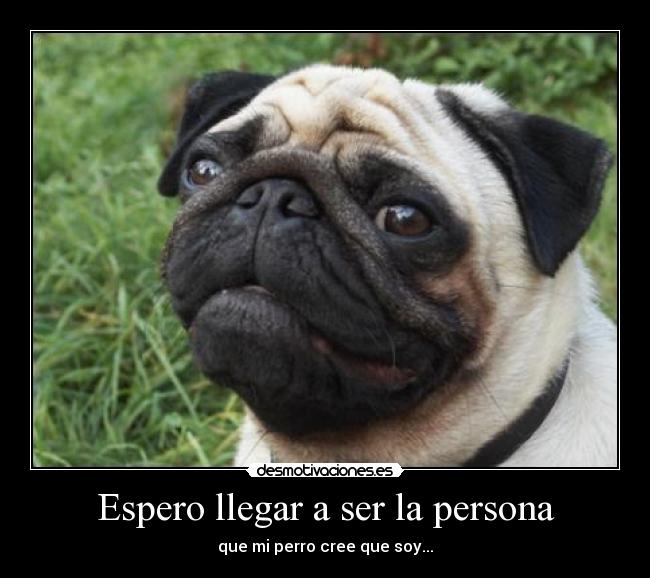 Espero llegar a ser la persona - 