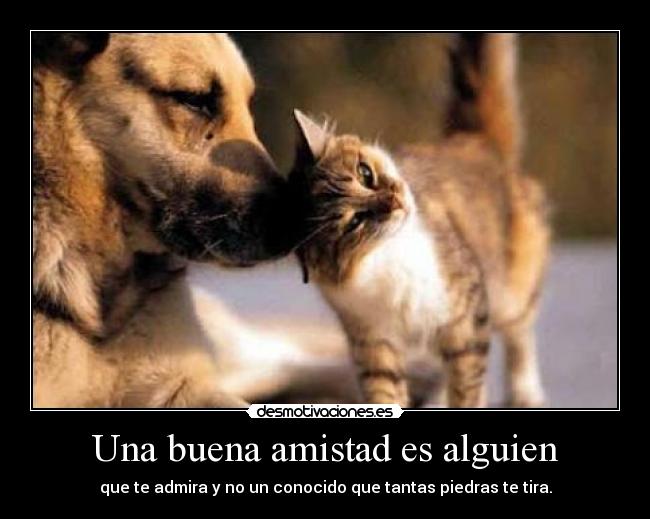 Una buena amistad es alguien -