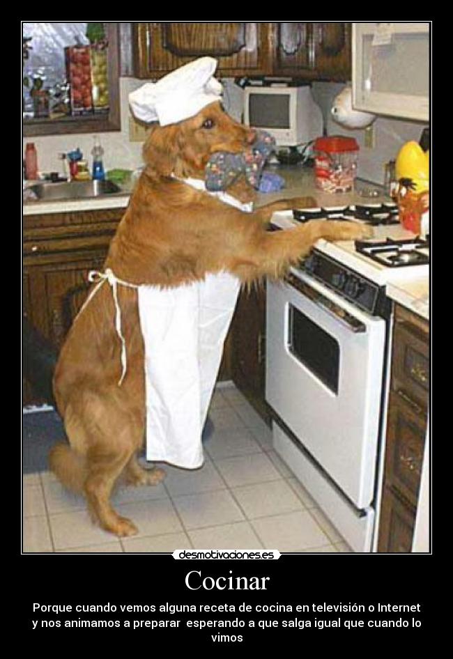Cocinar - Porque cuando vemos alguna receta de cocina en televisión o Internet
y nos animamos a preparar esperando a que salga igual que cuando lo
vimos