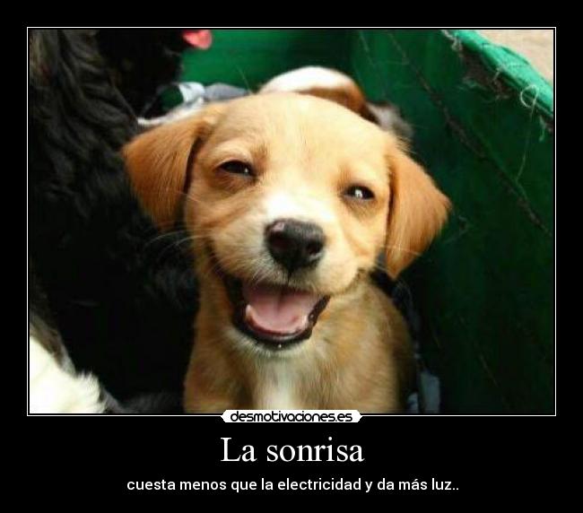 La sonrisa - cuesta menos que la electricidad y da más luz..