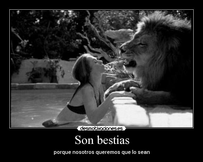 Son bestias - 