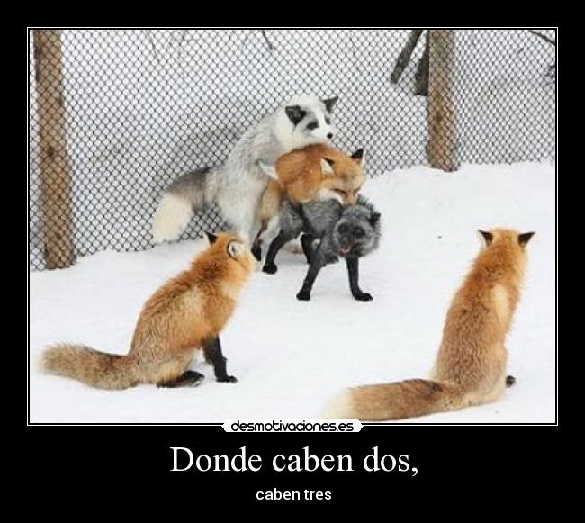 Donde caben dos, - caben tres
