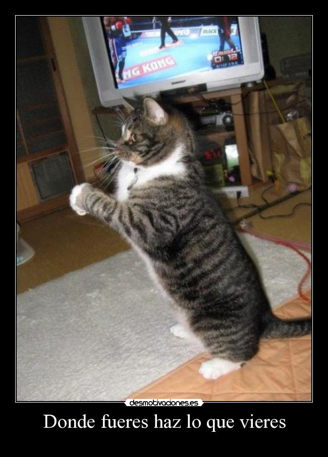 Donde fueres haz lo que vieres -